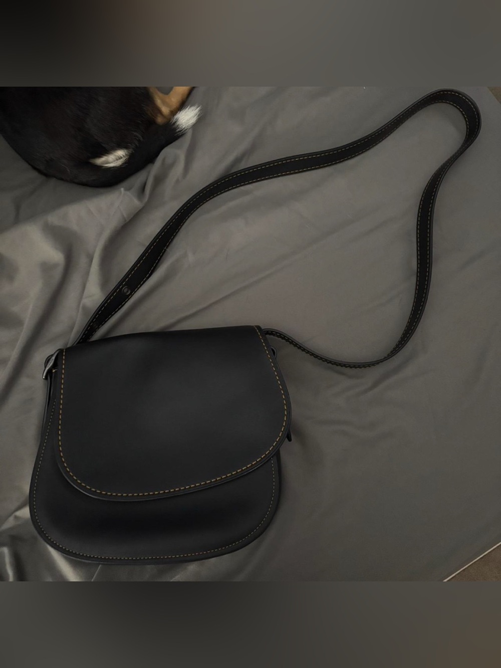 Coach SD-20115